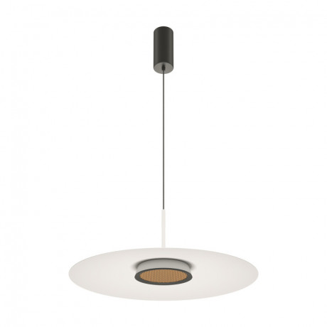 Подвесной светильник Maytoni MOD041PL-L15W3K1