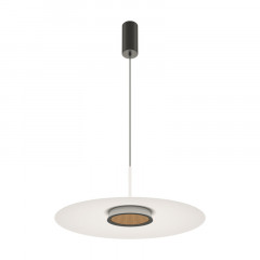 Подвесной светильник Maytoni MOD041PL-L15W3K1