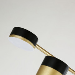 Люстра на штанге Favourite 4013-6P