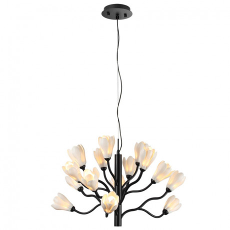 Подвесная люстра Odeon Light 5090/15