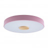 Потолочный детский светильник LOFT IT 10003/24 Pink