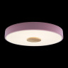 Потолочный детский светильник LOFT IT 10003/24 Pink