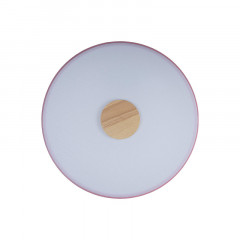 Потолочный детский светильник LOFT IT 10003/24 Pink