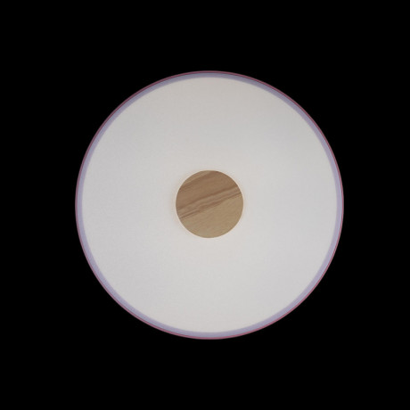 Потолочный детский светильник LOFT IT 10003/24 Pink