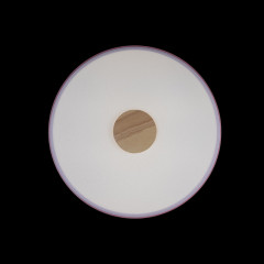 Потолочный детский светильник LOFT IT 10003/24 Pink