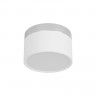Накладной светильник LOFT IT 10179/12 White
