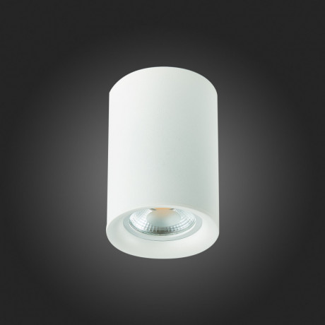 Накладной светильник ST-Luce ST114.507.01