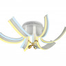 Накладной светильник Ambrella Light FL146