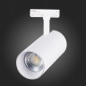 Светильник на шине ST-Luce ST350.546.30.24