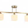 Накладной светильник Ambrella Light TR303121