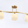 Накладной светильник Ambrella Light TR303121
