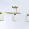 Накладной светильник Ambrella Light TR303121