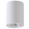 Накладной светильник Crystal Lux CLT 410C1 WH