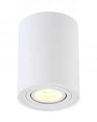 Накладной светильник Crystal Lux CLT 410C1 WH