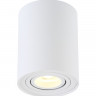 Накладной светильник Crystal Lux CLT 410C1 WH