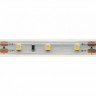 Лента DesignLed DSG360-12-W-65