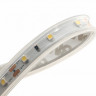 Лента DesignLed DSG360-12-W-65