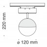Светильник на шине Maytoni Technical TR017-2-10W4K-B