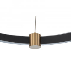 Подвесная люстра Indigo V000071L