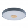 Накладной светильник LOFT IT 10003/24 Grey