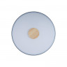 Накладной светильник LOFT IT 10003/24 Grey