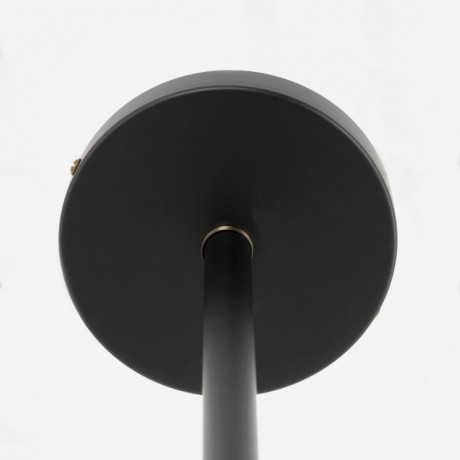 Люстра на штанге Citilux CL105355