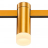 Светильник на шине ST-Luce ST812.206.03