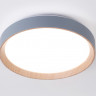 Накладной светильник Ambrella Light FZ1320