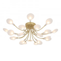 Накладная люстра F-Promo 4197-20C