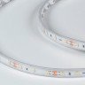 Лента DesignLed DSG360-12-WW-65