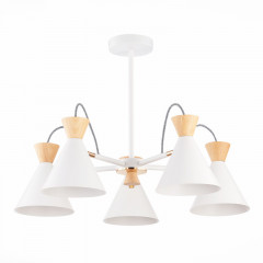 Люстра на штанге Evoluce SLE125102-05