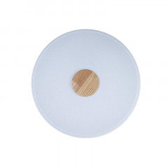 Накладной светильник LOFT IT 10003/24 White