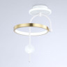 Накладной светильник Ambrella Light FL66422