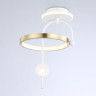 Накладной светильник Ambrella Light FL66422