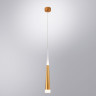 Подвесной светильник ARTE Lamp A6010SP-1SG