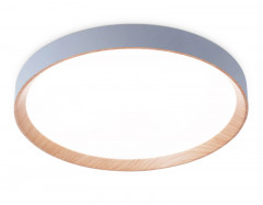 Накладной светильник Ambrella Light FZ1322