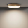 Накладной светильник Maytoni Technical C032CL-45W4K-RD-MG
