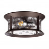 Накладной светильник Odeon Light 4961/2C