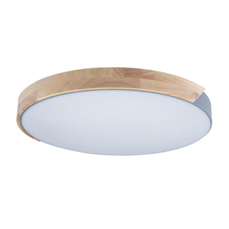 Накладной светильник LOFT IT 10004/36 Grey