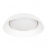 Накладной светильник LOFT IT 10229 White