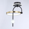Накладной светильник Ambrella Light FL66424