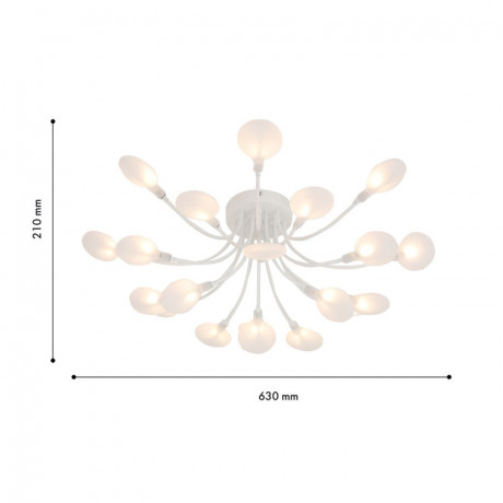 Накладная люстра F-Promo 4198-20C