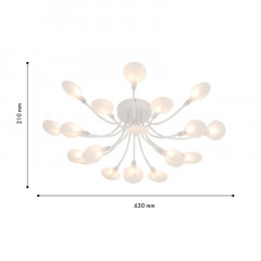 Накладная люстра F-Promo 4198-20C
