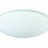 Накладной светильник Crystal Lux LUNA PL35-3