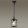 Подвесной уличный светильник Odeon Light 4963/1