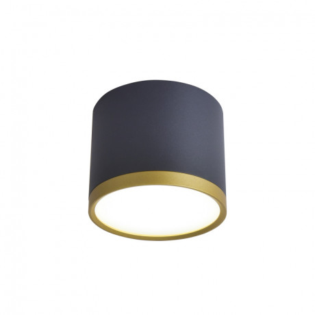 Накладной светильник Favourite 3081-2C