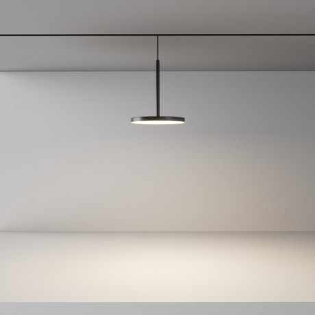 Светильник на шине Maytoni Technical TR123-2-15W4K-B