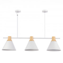 Подвесная люстра Evoluce SLE125103-03