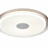 Накладной светильник Vele Luce VL7214L01