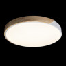 Накладной светильник LOFT IT 10004/36 White